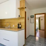 Ana Διαμέρισμα Gornji Dingač
